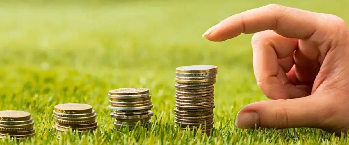 Strategic Investment