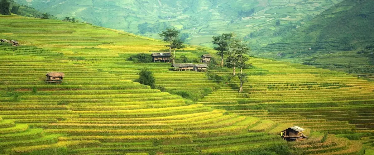 RERA and Building Bylaws 2025 RERA and Building Bylaws 2025