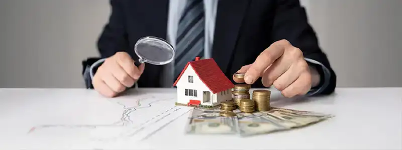 Birla Taranya Investment