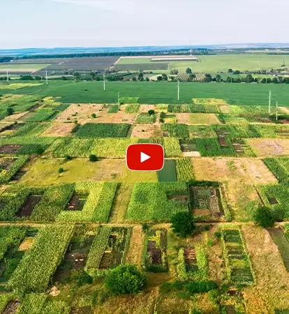 Birla Pune Thumbnail 03