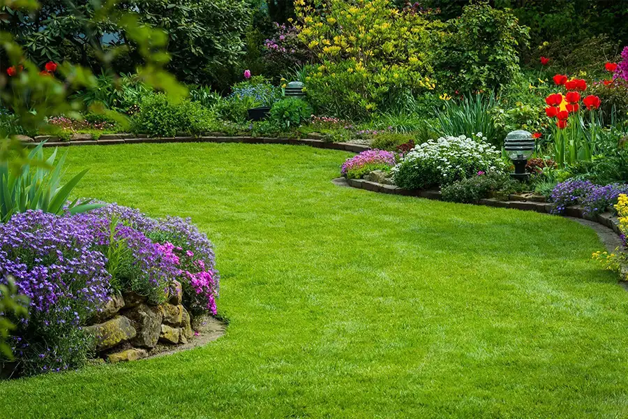 Birla NewLaunch Landscaping