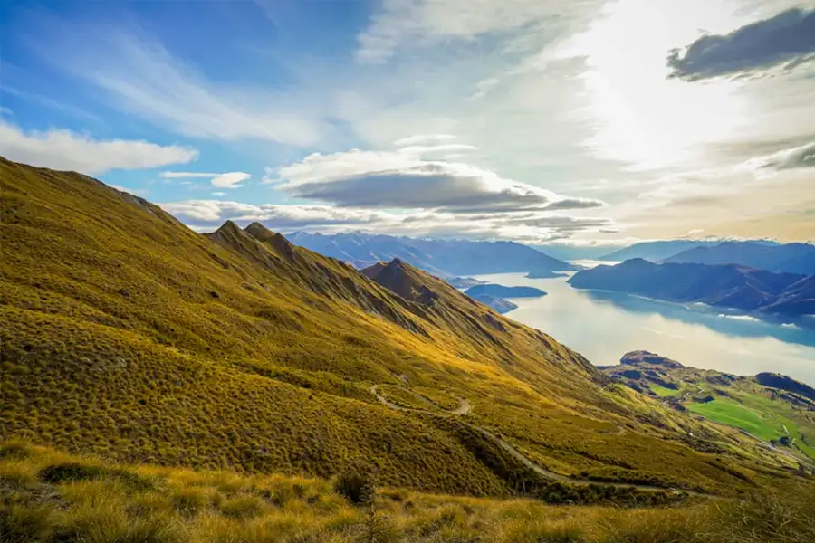 Birla NewLaunch Views