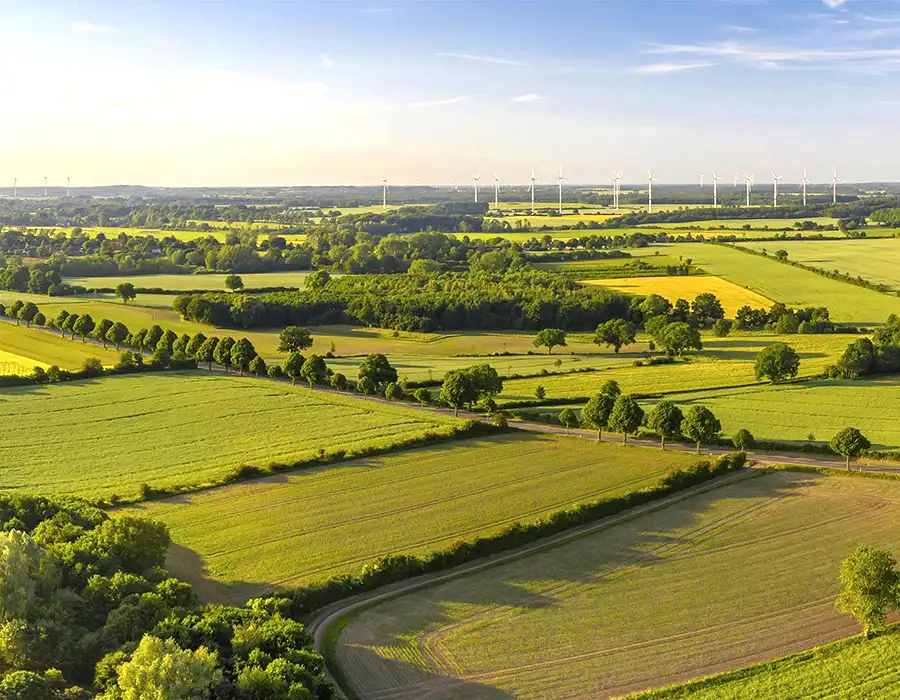 Birla NewLaunch Pune Banner 01