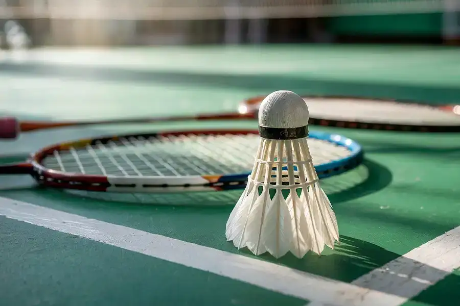 Birla Project Vashi Sports Zone Birla Project Vashi Sports Zone